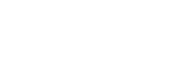 NAI Advent Logo